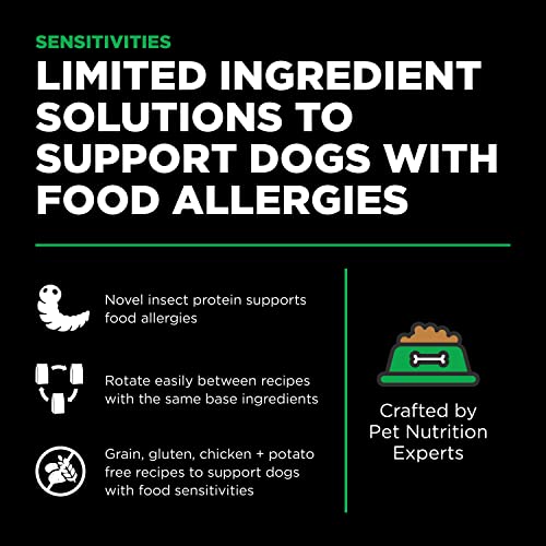Sensitivities Limited Ingredient Insect Grain (22 Pound (Pack of 1))