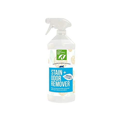 Stain & Odor Remover (32oz (Pack of 1))