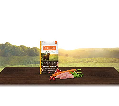 Original Dry Dog Food (4 Pound (Pack of 1))