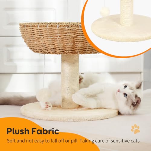 Small Cat Tree with 17.5 (4)