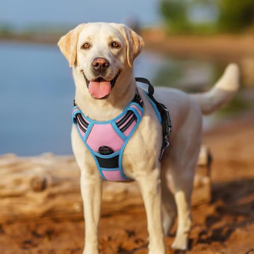 Dog Harness No Pull for Small Dogs with 2 Leash Clips (Small / Pink & Blue)