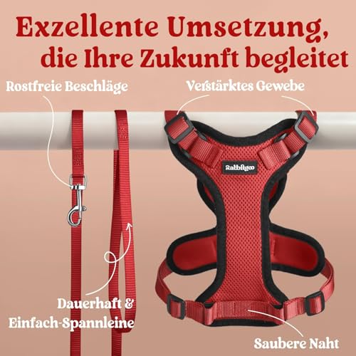 Cat Harness and Leash Set (Xxs / Red)