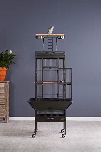 Wrought Iron Select Bird Cage (Black Hammertone / 18.0"L x 18.0"W x 57.0"H)