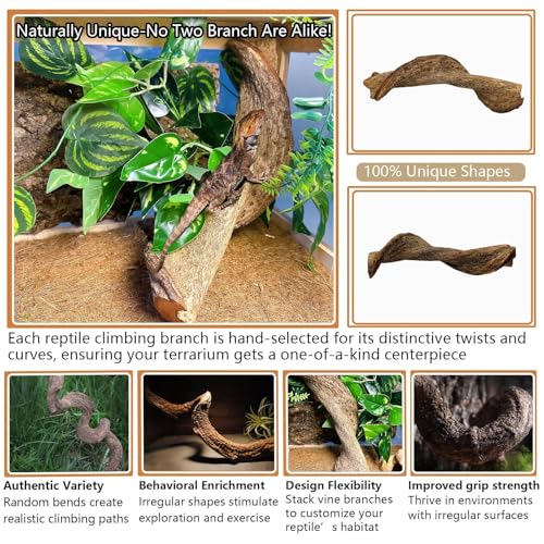 2Pcs Reptile Climbing Branches Decor (2PCS|XL:2.50-3.25"D,13"L)