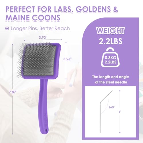 Large Dog 3 in 1 Grooming Kit (Purple)
