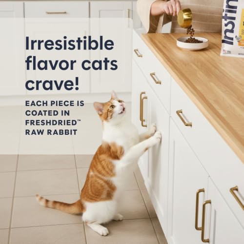 Original Dry Cat Food (4.5 Pound (Pack of 1))