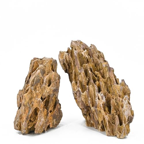 Aquarium Rock Dragon Stones 10lb Natural Rock for Fish Tank (10LB(2-6 inches))
