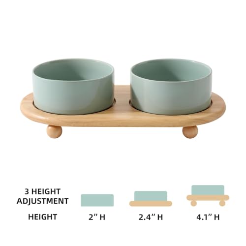 Raised Cat Bowl (Light Green)