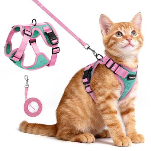 Cat Harness and Leash Set