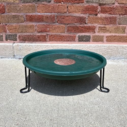 Ground Level Bird Bath
