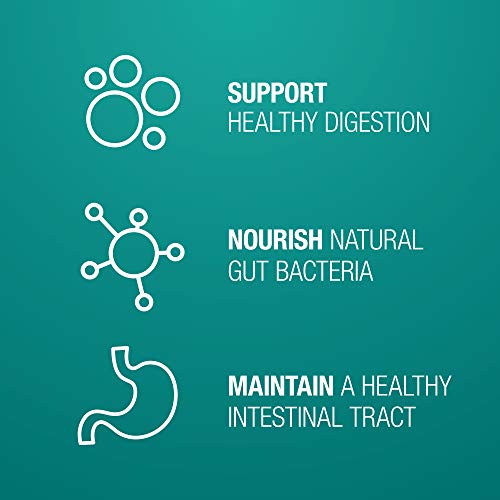 Digestive Supplement for Dogs (Standard Strength 90 ct Dog)