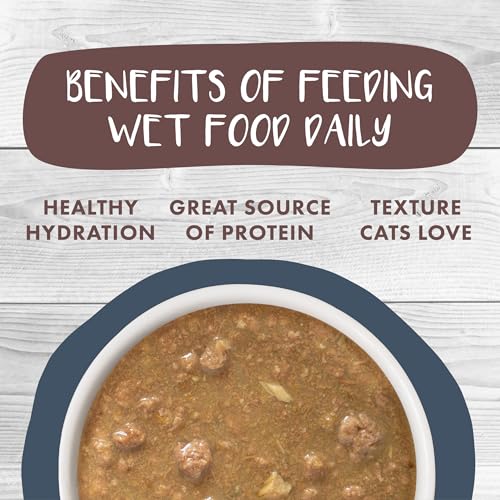 Classic Cat Stews! (2.8 Ounce (Pack of 12))
