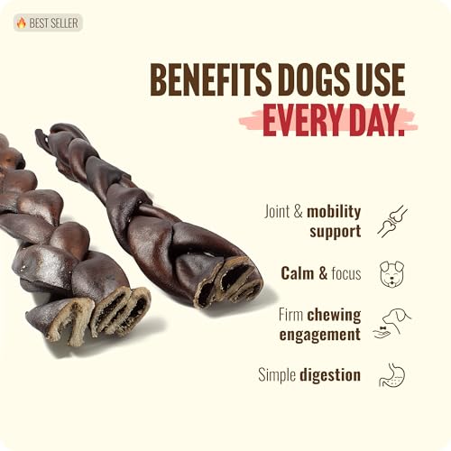 Braided Collagen Chews for Dogs (12" Braided - 2 Count)