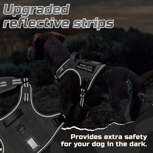 Tactical Dog Harness for Large (Grey / Large)