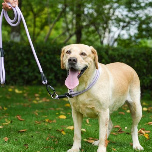 Rope Dog Leash (Purple / 6FT*0.51" Single Handle)