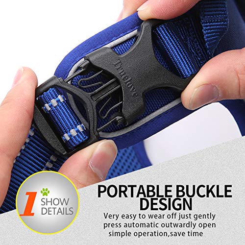 Truelove No Pull Dog Harness with Easy Control Handle and 2 Leash Attachments (X-Large / Royal Blue)