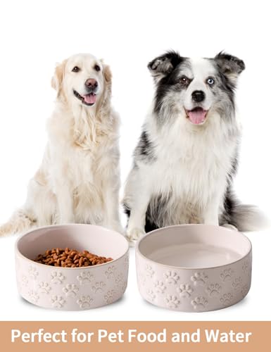Ceramic Dog Bowl Set of 2 (6.1 in-Medium)