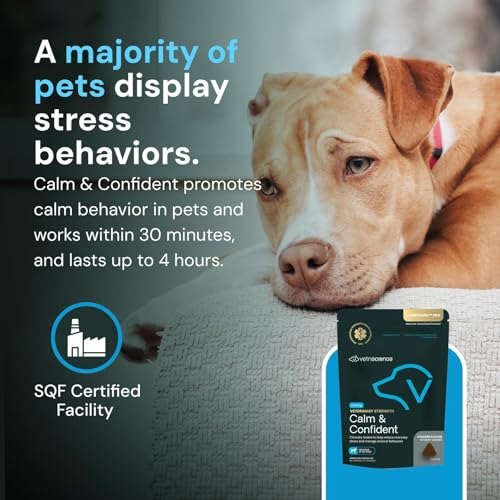 Veterinary Strength Calm & Confident (60 Chews - Pro)