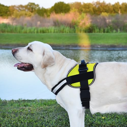 Dog Harness Reflective No (Lime Green / Girth 22" to 28")