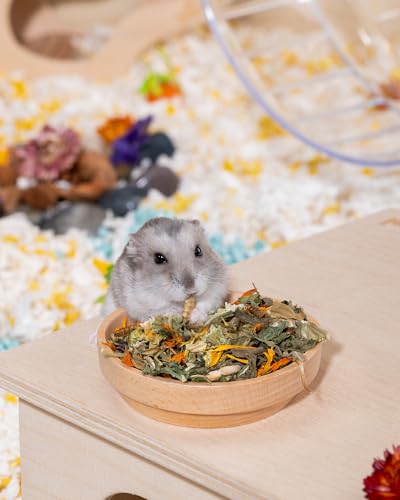 Nature Dwarf Hamster Food (17.64 oz)