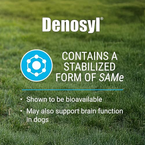 Nutramax Denosyl Liver & Brain Supplement for Large Dogs (Large Dog (Over 35 lbs))
