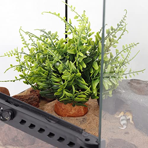 Green Boston Fern Reptile Plants (I-fake Green Boston Fern)