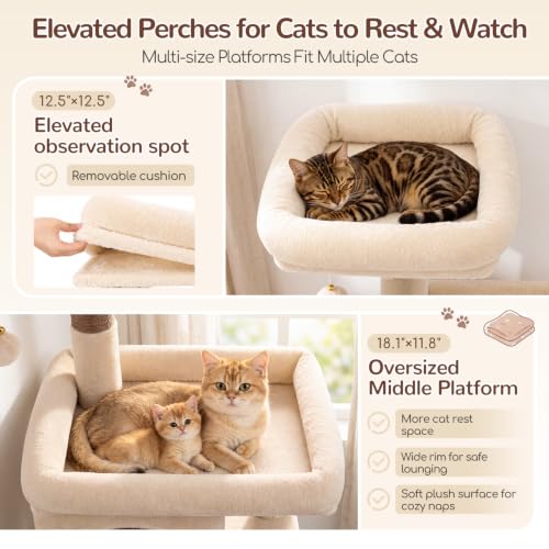 Cat Tree Tower 2 Condo Kitten Scratching Post (Beige / 54 inch)