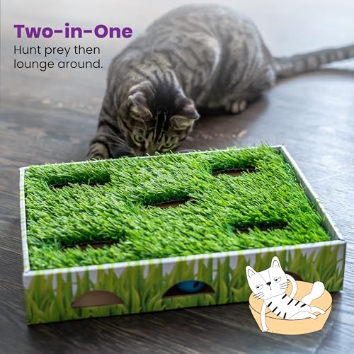 Grass Patch Hunting Box Cat Toy
