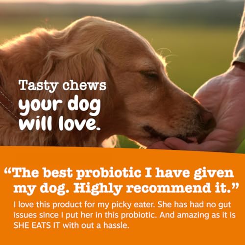 Ancient Elements Probiotics for Dogs (90 Count)