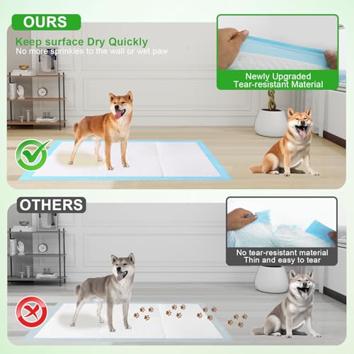 Pee Pads for Dogs & Cats (90*130)
