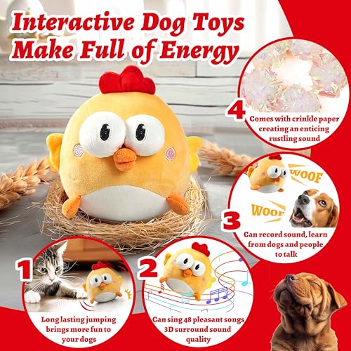 Interactive Dog Toys (Chick)
