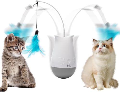 Cat Toys Interactive for Indoor (DPT01)