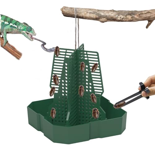 Chameleon Feeder Bearded Dragon Feeder for Mounted Insect（Large） (Large)