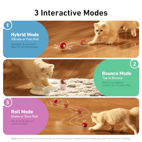 Interactive Cat Ball Toy (Red)