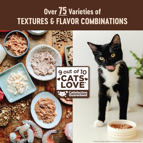 CORE+ Indoor Pate Adult Wet Cat Food (2.8 Ounce (Pack of 12))