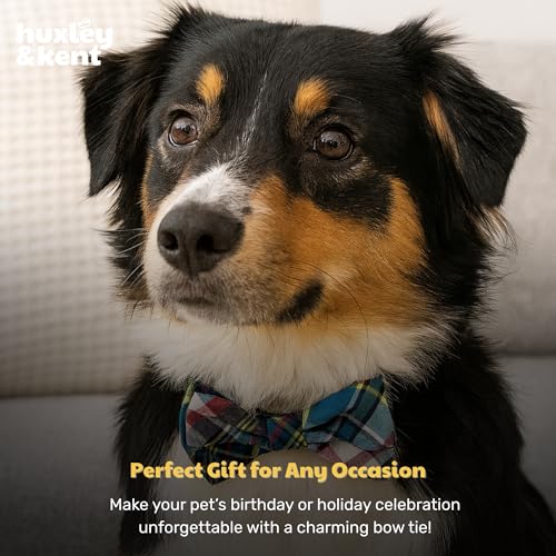 Pet Bow Tie for Dogs & Cats (Small)