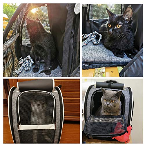 Innovative Traveler Bubble Backpack Pet Carriers for Cats and Dogs (Upgraded-Black)