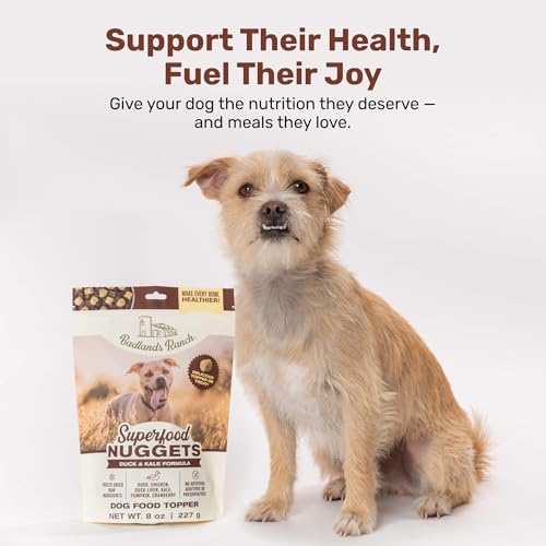 Superfood Nuggets (8 Ounce (Pack of 1))