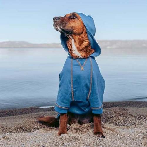 Essentials Soft & Comfy Better Basic Cotton Blend Dog Hoodie Sweatshirt in Alaskan Blue (24 inch (Pack of 1) / Dog Hoodie - Alaskan Blue)