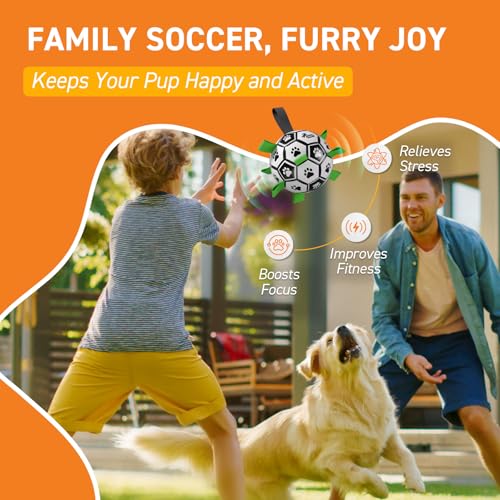 Dog Soccer Balls with Bell Inside (Squeaky Green / Medium Size 2 (6 Inch))