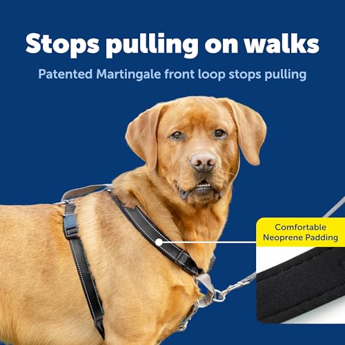 3 in 1 No Pull Dog Harness (Black / Large (Pack of 1))