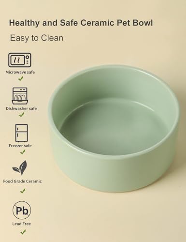 Ceramic Dog Bowl Set of 2 (5 inch x 2 / Sage Green)