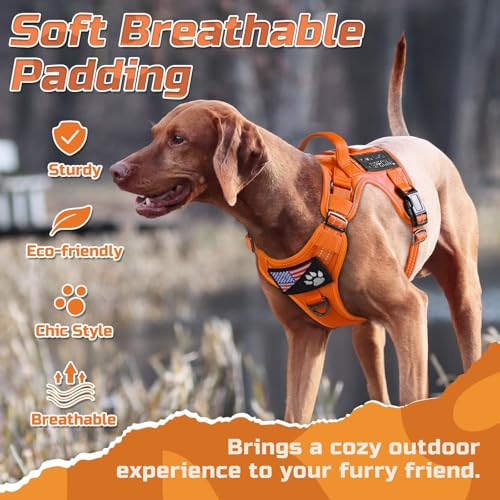 Tactical Dog Harness for X (Orange / X-Large)