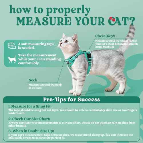 Cat Harness and Leash Set (Xs / Cherry Grove)