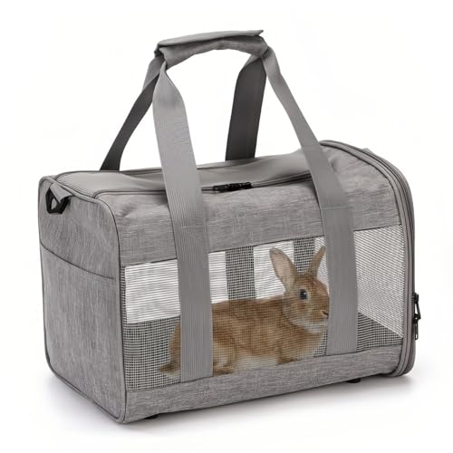 Small Pet Carrier (Gray)
