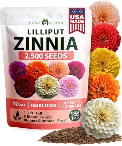 Zinnia Seeds Lilliput Mix