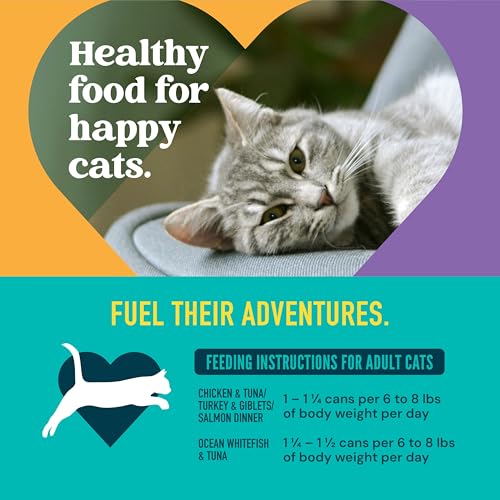 A Strong Heart Cat Food Variety Pack (5.5 Ounce (Pack of 40))