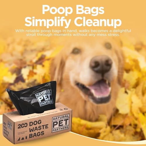 Commercial Bulk Dog Waste Bags (Black / 2000 Count (Pack of 1))