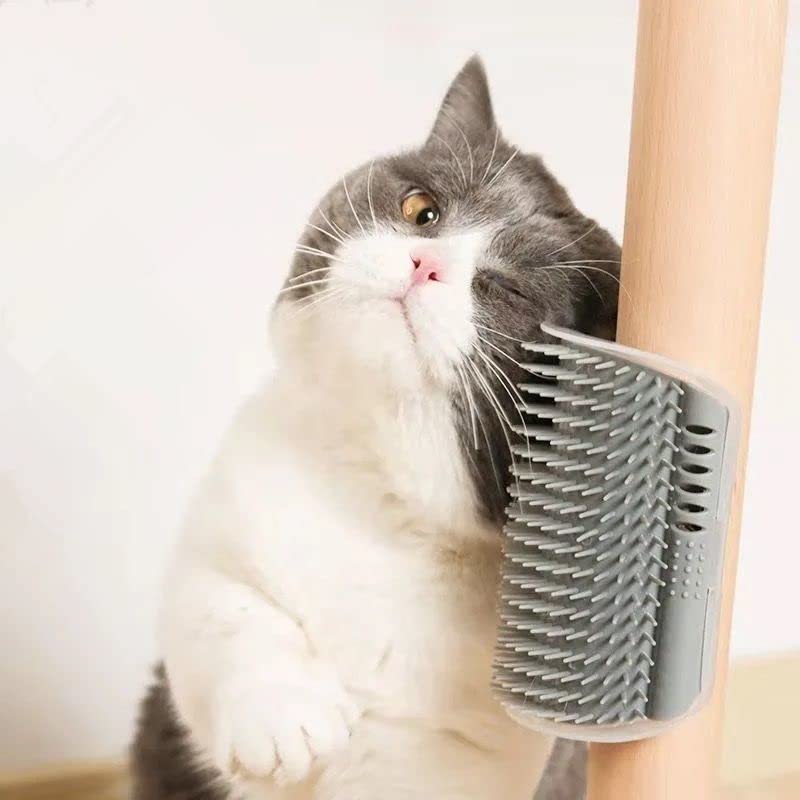 6 Pack Cat Self Groomer with Catnip Pouch Wall Corner Groomers Cat Face Scratcher Pet Grooming Brush Massage Combs for Short Long Haired Cats Fur Pets Dog Kitten Puppy (2 Grey+1 Black+1 Dark Blue+1 Light Blue+1 Pink)