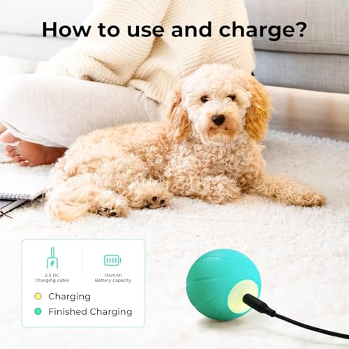 Interactive Dog Toys (Small)